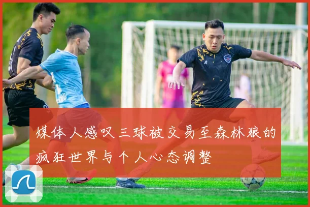 媒体人感叹三球被交易至森林狼的疯狂世界与个人心态调整