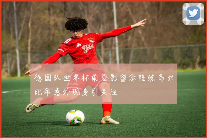 德国队世界杯前合影留念陪练乌尔比希意外现身引关注